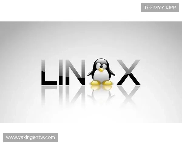 亚星平台会员登录版，详细教程帮助用户快速顺利完成登录操作