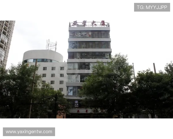 亚星正网官网官方网站：详细介绍亚星正网官网的注册流程与使用步骤