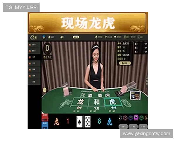 亚星游戏官网111官方平台安全保障措施详解，确保玩家账号安全无忧