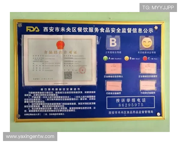 亚星游戏官网入口安全登录流程详解，保障玩家账号信息安全与游戏体验顺畅