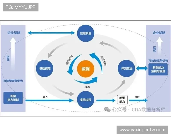 亚星管理平台正网帮助企业实现数字化转型的核心推动力量