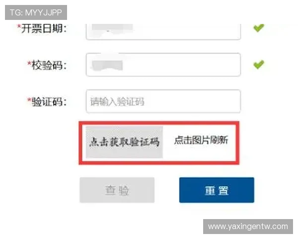亚星官网登录登录遇到验证码问题的解决方案详解