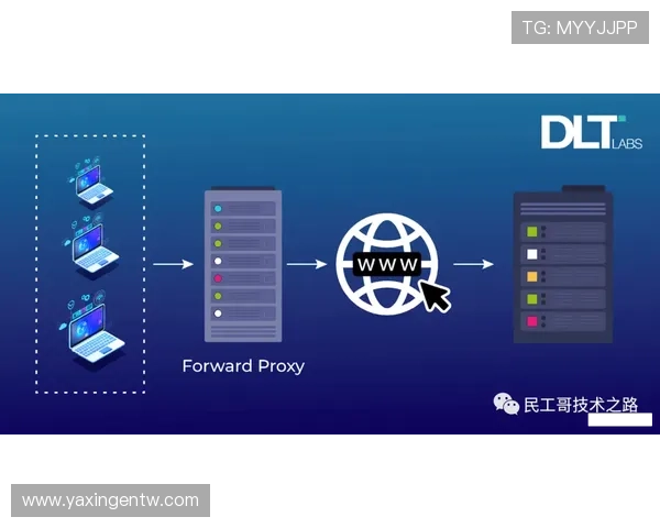 亚星管理平台 hzxydn实现玩家社区管理与互动提升的实用方案